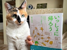遠い目