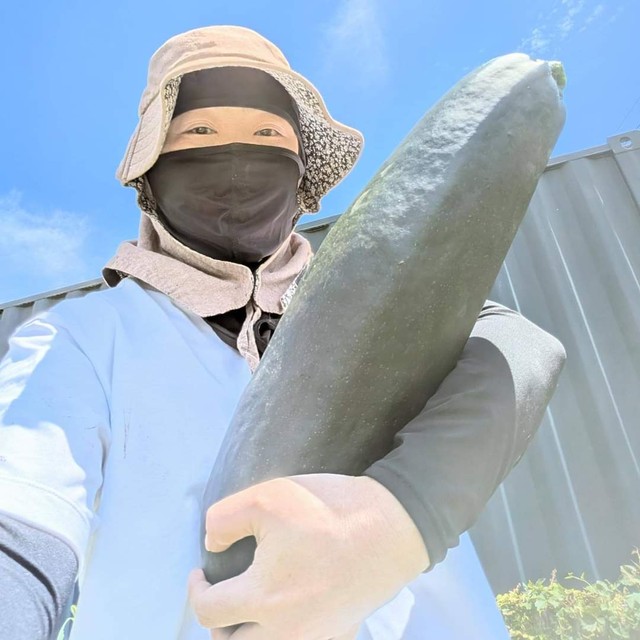 巨大ズッキーニも（ぷーこさん提供）