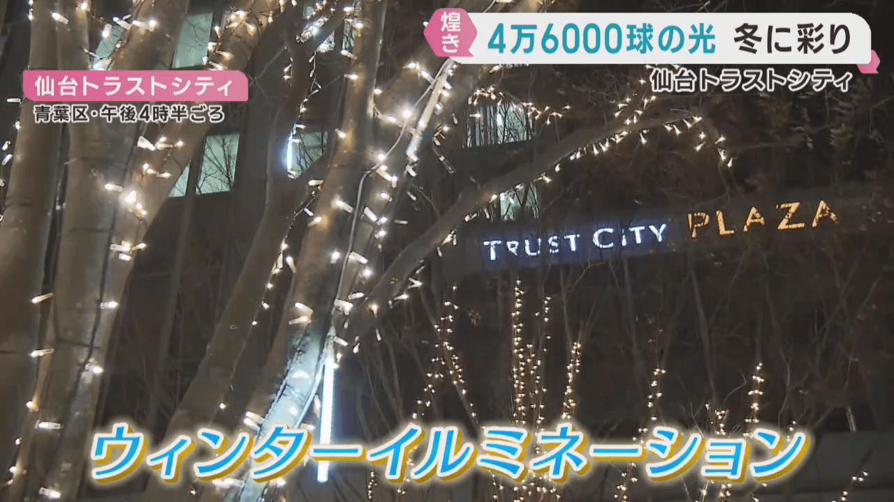冬を彩るイルミネーションの点灯式　仙台トラストシティー