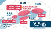 へい死したカキの割合 5月1日現在 出典:水産庁