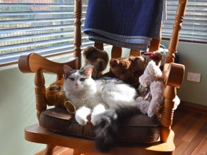 キラキラした生活にもう興味がない。おばあちゃんのような暮らしのススメ