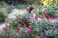 秋の庭には華やかな香りが漂う