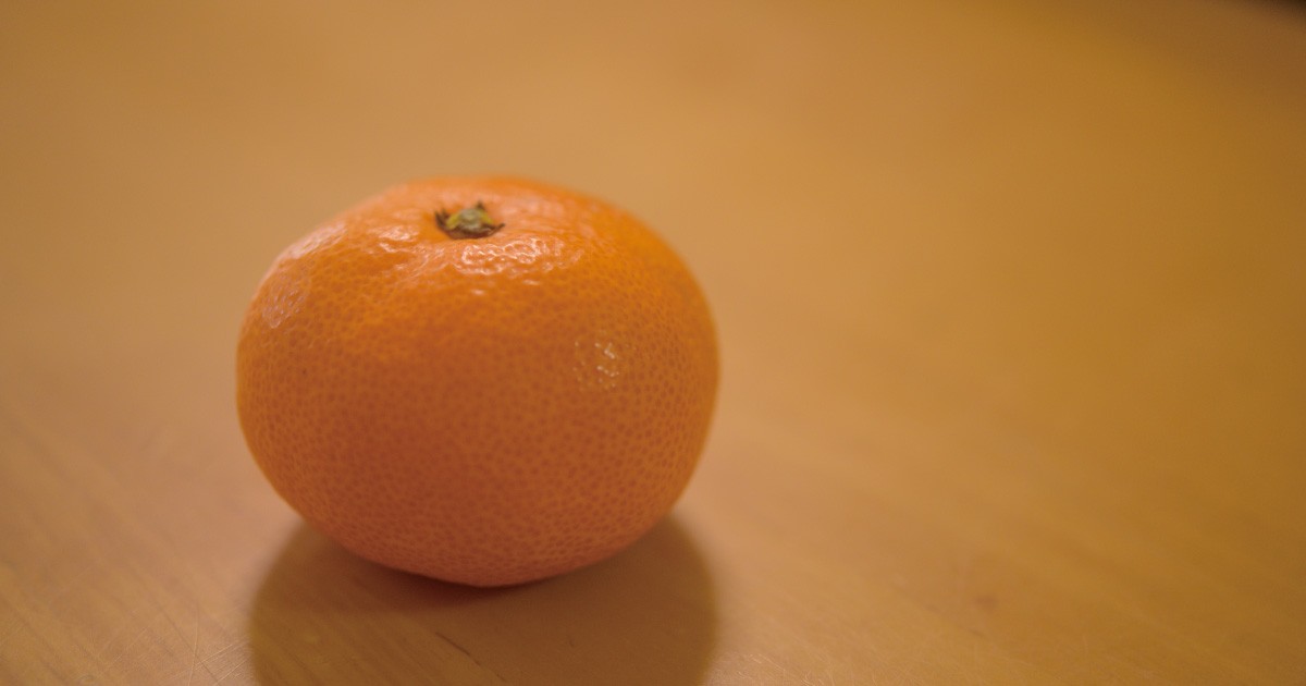 深夜のチャイム 誰もいない玄関は 認知症ローテク疑似体験 もめない介護44 なかまぁる