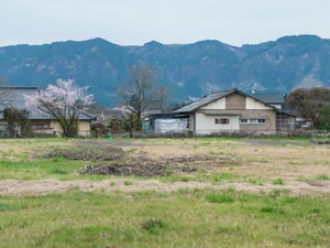 相続した土地を売るタイミングはいつがベスト？使える節税制度や必要な準備も解説