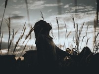 自称辛いもの苦手だった私、辛さ40倍のレトルトカレーを難なく食べた