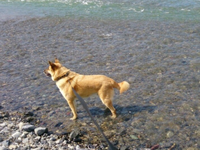 川にも行きました