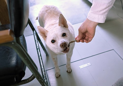 「おやつもらえました」