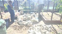 素人が作ったとは思えぬ石壁のハーブ園／投稿主さん提供