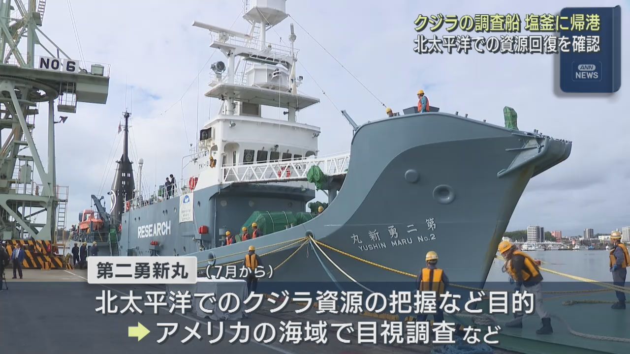 クジラ調査船が宮城・塩釜港に帰港　北太平洋で調査