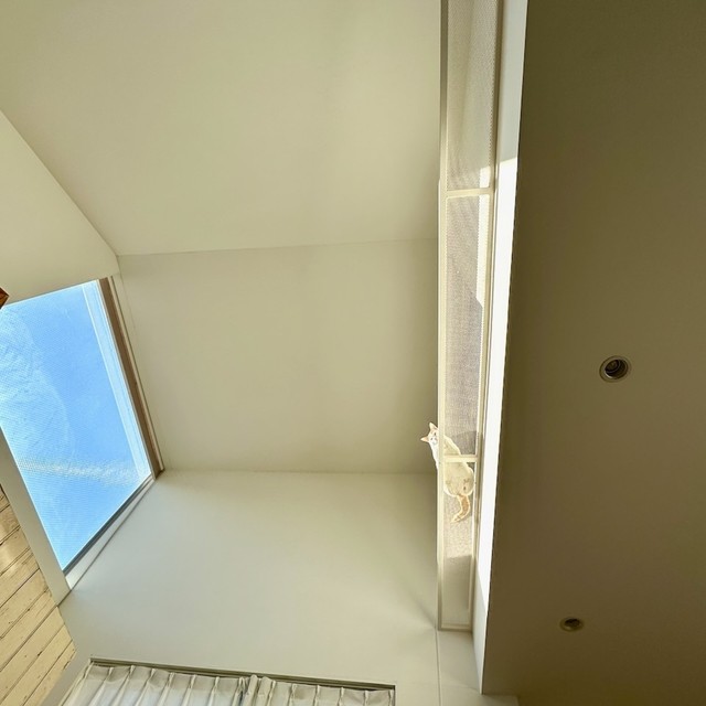 猫専用賃貸。キャットウォークの下からは愛猫の肉球を眺められる／猫専用賃貸 Gatos Apartmentさん（gatos_apartment）提供