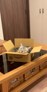 寝るのが大好き♡（提供写真）