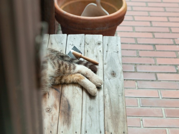 そろえた脚が愛らしい