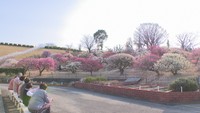 香川県園芸総合センター（高松市香南町）