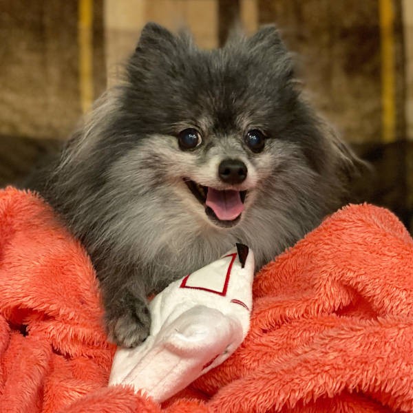 元気のもとになっているシオンくん