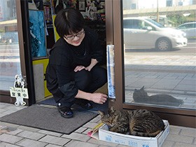 老舗万年筆店へ通い猫人気　「ロク」、しっぽでノック