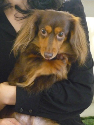 一美さんに抱っこされて満足そうなクレアちゃん