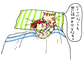 幼い頃からおなかを貸してくれた虎猫「トラ」　今でも彼は私のホーム