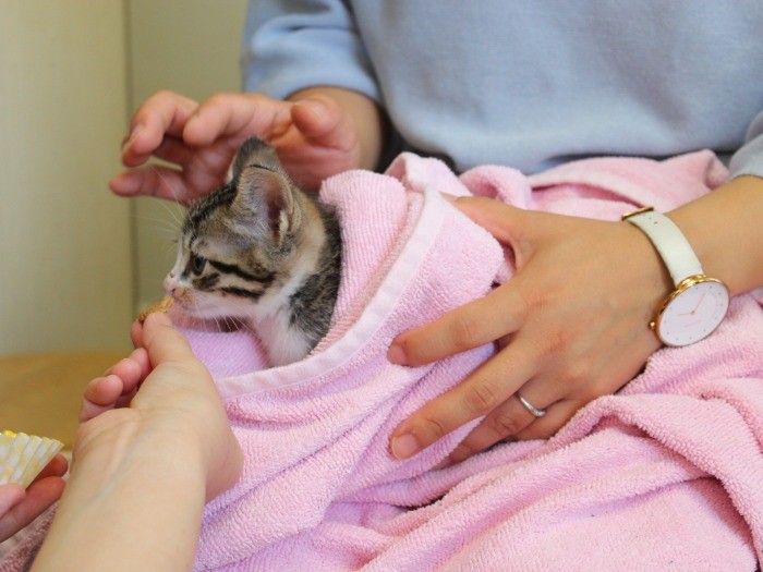 タオルにくるまれると安心