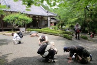 石の断面が桜の花みたい！？「地学を知れば風景を見る目が変わる