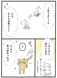 【漫画】『ネコと暮らした9日間』17（イゴカオリさん提供）