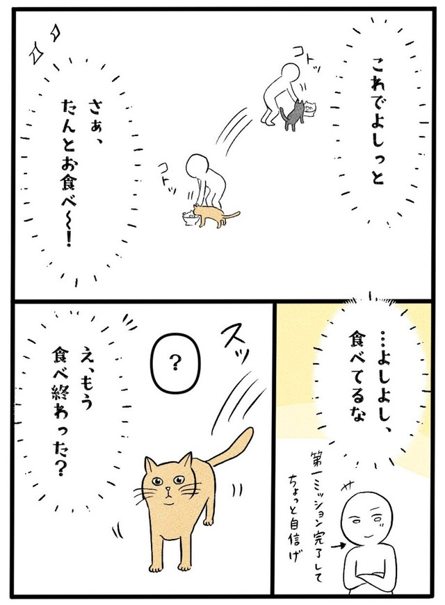 【漫画】『ネコと暮らした9日間』17（イゴカオリさん提供）