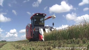極早稲種「おもてなし」稲刈り始まる　宮城・涌谷町　天候に恵まれ過去最も早い収穫