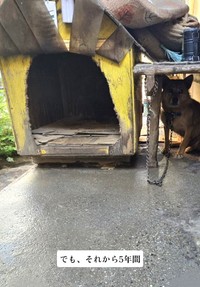 犬小屋が置かれていたのは、通行人から見えにくい家の裏庭だった（「一般社団法人りぼん動物保護団体【公式】」さん提供、Instagramよりキャプチャ撮影）