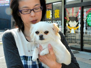 チワワ２匹が自由奔放、念願の戸建ては「大きな犬小屋」