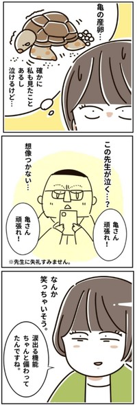 【漫画】『精神科の先生の涙』6（むろんさん提供）