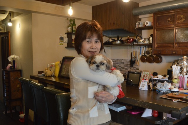 芦屋のドッグカフェで看板犬を務めるべーちゃん