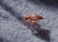 ※写真はイメージです（vasakna／stock.adobe.com）
