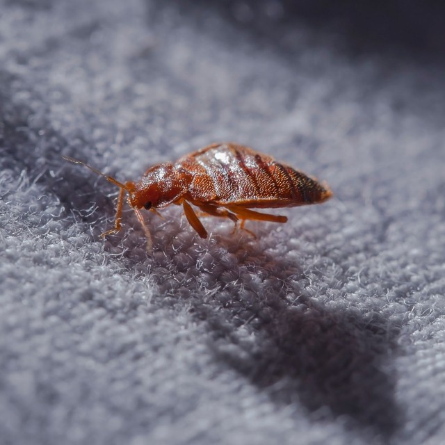 ※写真はイメージです（vasakna／stock.adobe.com）
