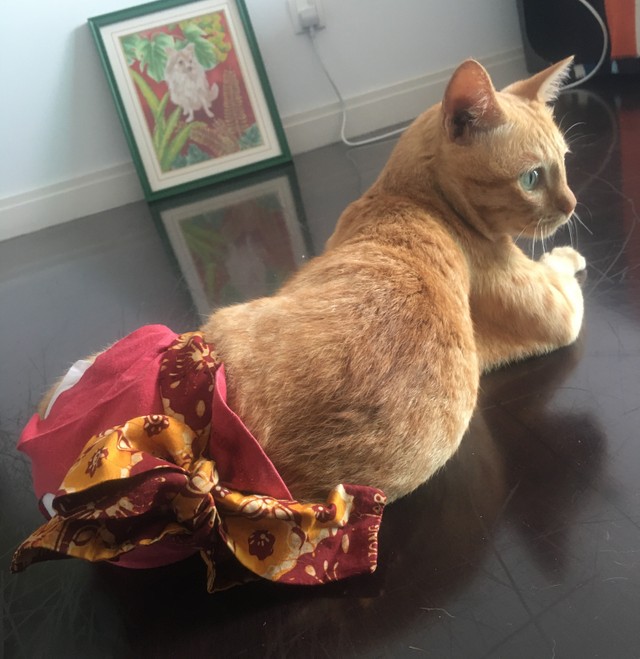 オシャレなおむつカバーは岡田さんの友人がデザインして作ってくれる