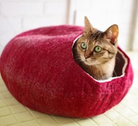 お気に入りのベッドでくつろぐ