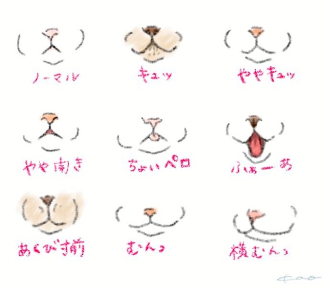 kaoruさんが描いた『猫の口元9選』（画像提供：kaoruさん）
