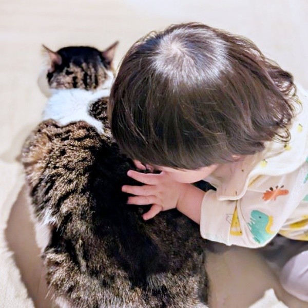 「猫吸い」を覚えた息子さんと、じっとして座れるローズちゃん（画像提供：だいちゃんさん）