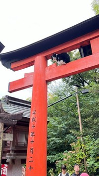 カメラを振り返って。 ※松村上久郎さん提供