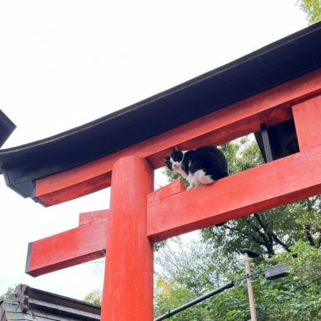 カメラを振り返って。 ※松村上久郎さん提供