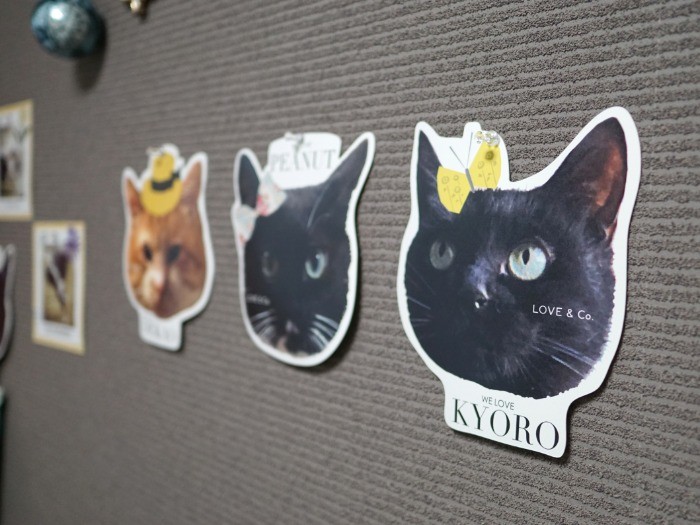 ラブコのおしゃれなグッズやコーヒーのパッケージが部屋中に飾られていた