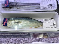 この値段を見ると一瞬釣りをするのが馬鹿らしくなっちゃうかも…（きょんさん提供）