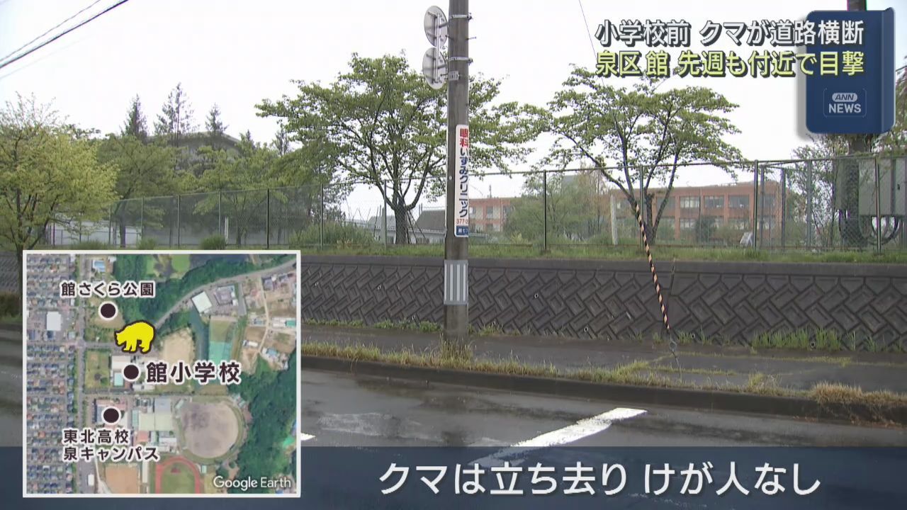 仙台市の小学校付近にクマ出没　１週間前にも目撃情報　集団下校の対応も