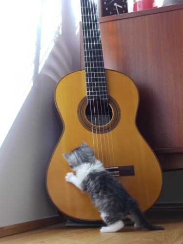 ギターでいたずら（近藤さん提供）