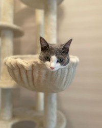 虚無の表情・・・