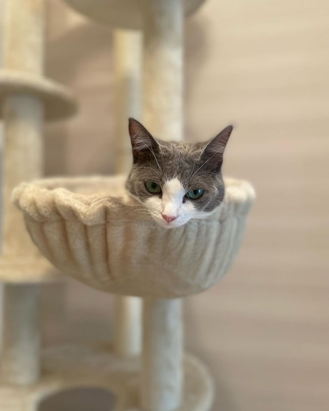 虚無の表情・・・