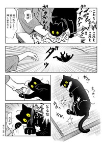 【漫画】『うちの猫は様子がおかしい。まとめ③』15（筆坊日記さん提供）