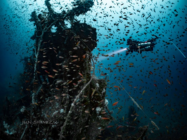 水深80メートルの「大深度」撮影：清水淳