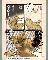 【漫画】『今日もネコ様の圧が強い』12　©Uguisu Utako