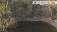 祖谷のかずら橋を再現 高松市にあるドキドキの橋