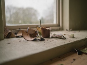 最初で最後の「悪者」の記憶。あなたもどうか、元気で幸せでいてね