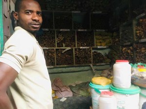 マラリア、デング熱、腸チフスにアナフィラキシー　ひと通り経験して言えること